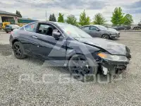 2015 Honda Accord photo