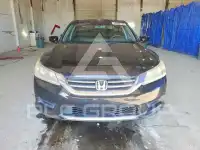 2015 Honda Accord photo