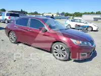 2015 Honda Accord photo
