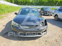 2015 Honda Accord photo