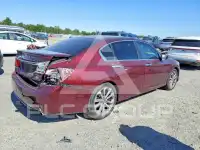 2015 Honda Accord photo
