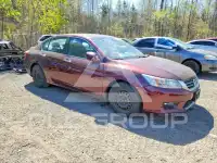 2015 Honda Accord photo