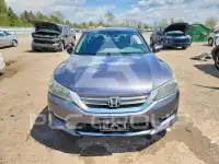 2015 Honda Accord photo