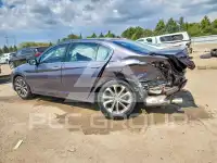 2015 Honda Accord photo