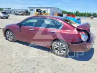 2015 Honda Accord photo