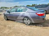 2015 Honda Accord photo