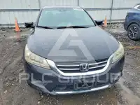 2015 Honda Accord photo