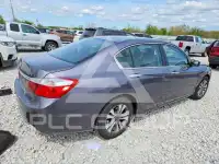 2015 Honda Accord photo