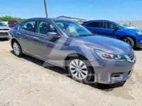 2015 Honda Accord photo