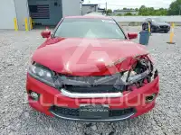 2015 Honda Accord photo