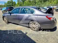 2015 Honda Accord photo