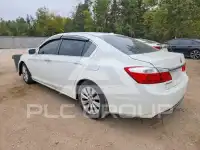 2015 Honda Accord photo