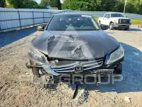 2015 Honda Accord photo