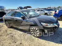 2015 Honda Accord photo