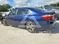 2015 Honda Accord photo