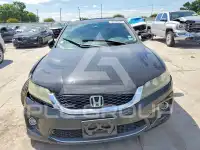 2015 Honda Accord фото
