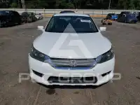 2015 Honda Accord photo