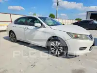 2015 Honda Accord photo