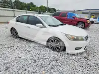 2015 Honda Accord photo
