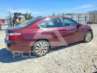 2015 Honda Accord photo