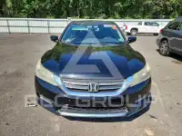 2015 Honda Accord photo