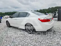 2015 Honda Accord photo
