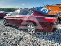 2015 Honda Accord photo