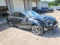 2015 Honda Accord фото
