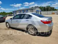 2015 Honda Accord photo