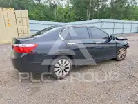 2015 Honda Accord photo