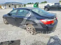 2015 Honda Accord photo