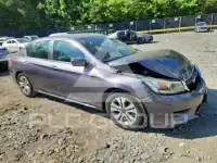 2015 Honda Accord photo