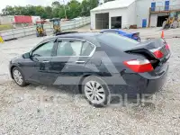 2015 Honda Accord photo