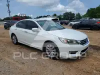 2015 Honda Accord photo