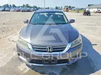 2015 Honda Accord photo