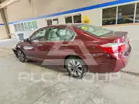 2015 Honda Accord фото