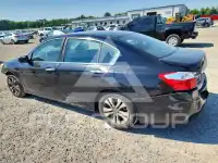 2015 Honda Accord фото