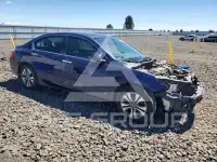 2015 Honda Accord photo