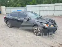 2015 Honda Accord photo