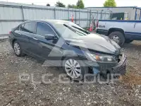 2015 Honda Accord фото