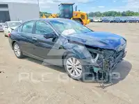 2015 Honda Accord photo