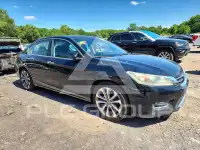2015 Honda Accord photo