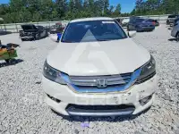 2015 Honda Accord photo