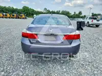 2015 Honda Accord photo