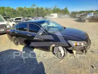 2015 Honda Accord фото