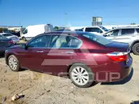 2015 Honda Accord фото