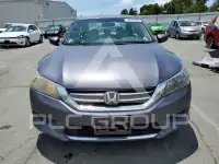2015 Honda Accord фото
