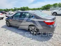 2015 Honda Accord photo