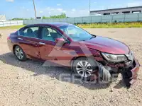 2015 Honda Accord photo