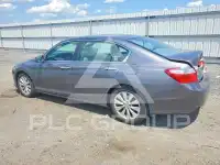 2015 Honda Accord photo